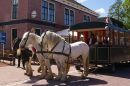 Paard en wagen